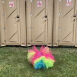 Tips and tricks for life on the road or how I learned to stop worrying and love the Port-a-Potties…